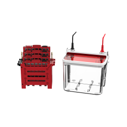 Mini Vertical Blot : Mini Vertical Blot TRMB-601